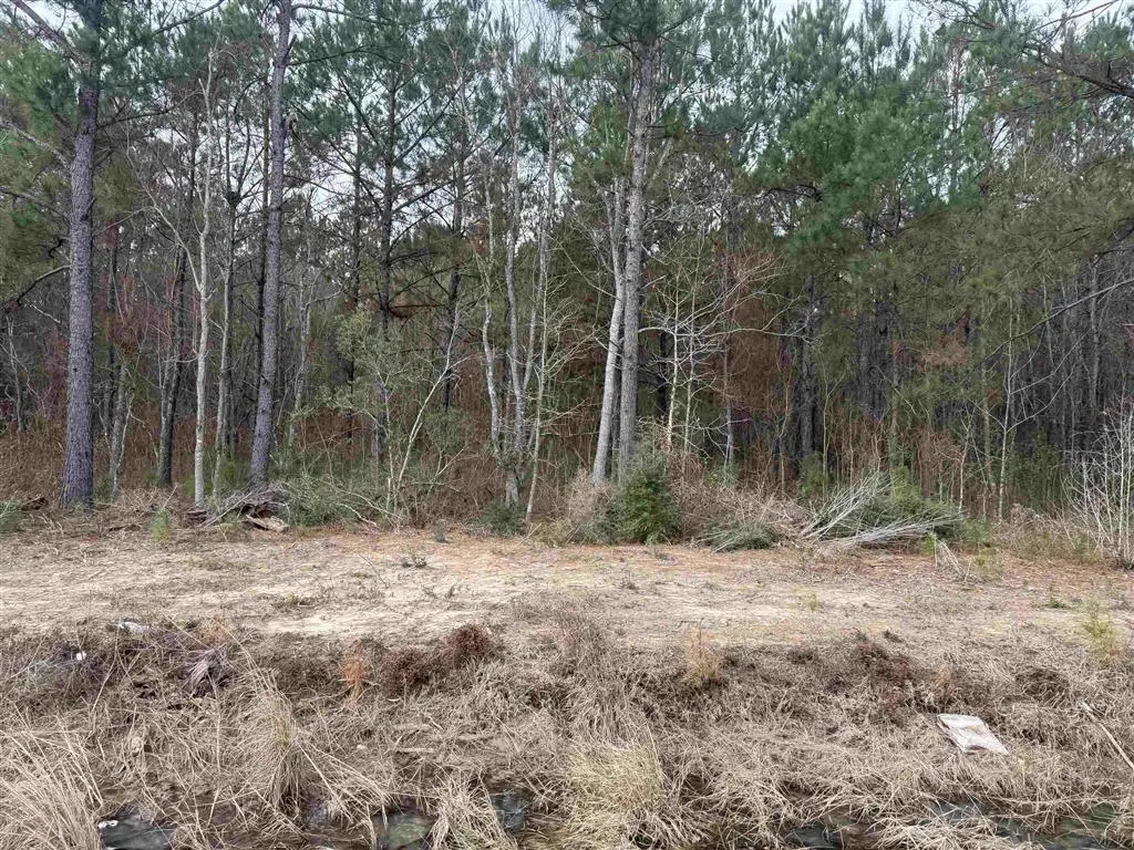 Hwy 383 Highway #Lot 1, Iowa, LA 70647 - Image #1