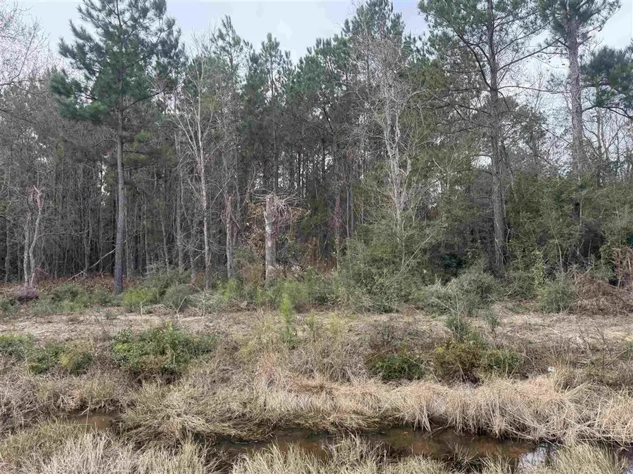 Hwy 383 Highway #Lot 12, Iowa, LA 70647 - Image #3