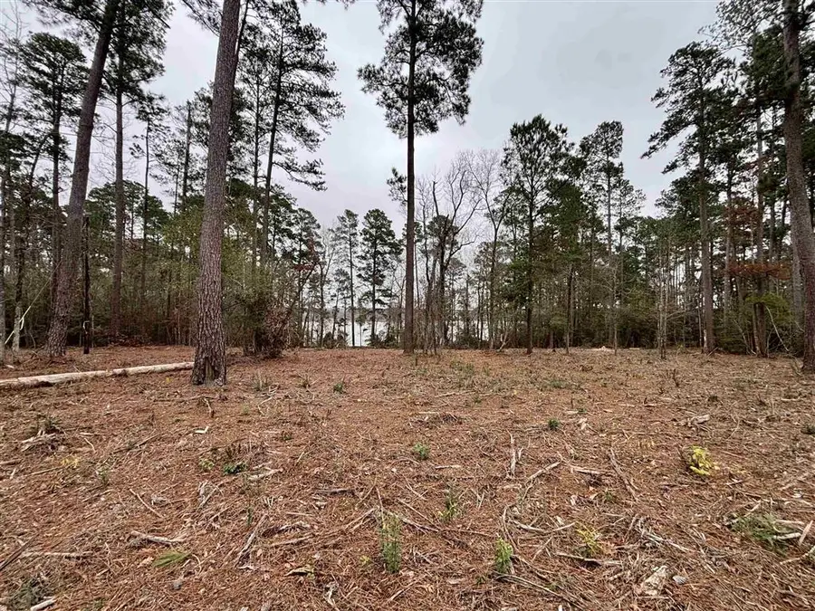 Lazy Point Trail, Many, LA 71449 - Image #3