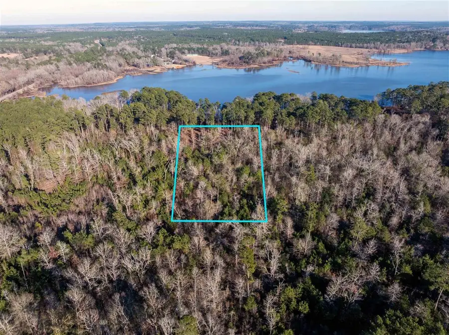 Lazy Point Trail, Many, LA 71449 - #2