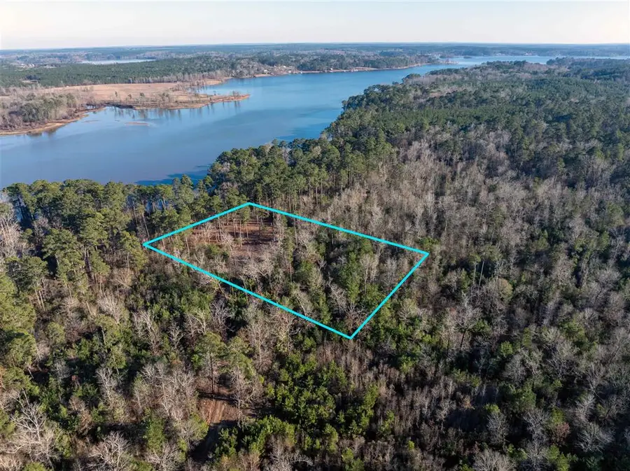 Lazy Point Trail, Many, LA 71449 - #3