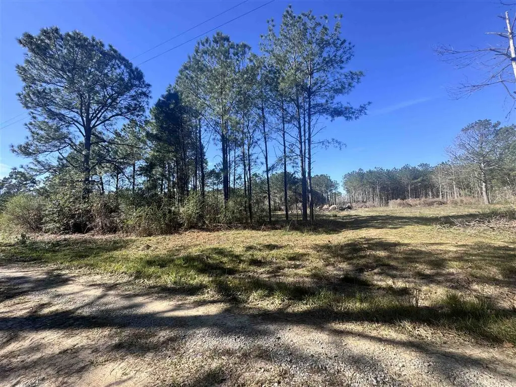 TBD Don Drive, Iota, LA 70543 - #1