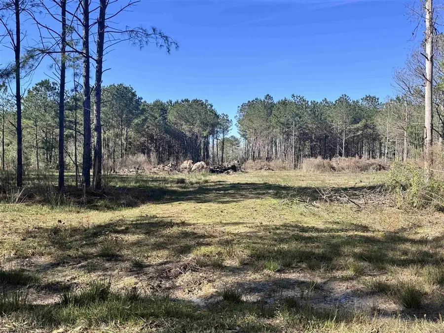 TBD Don Drive, Iota, LA 70543 - #2