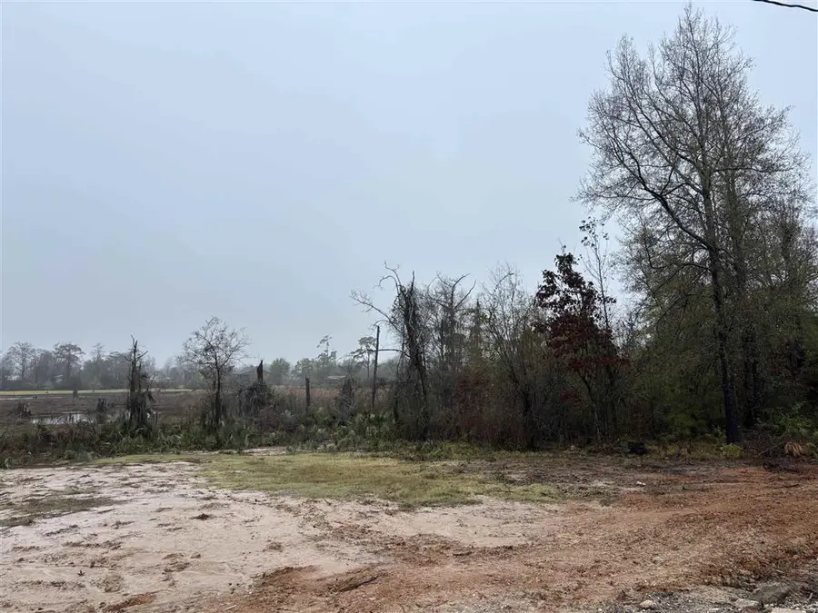 TBD Joan Street, Westlake, LA 70669 - #2