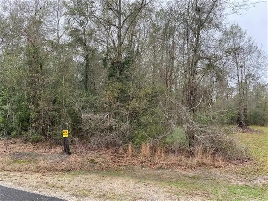 Robin Lane, Lake Charles, LA 70611 - Image #3