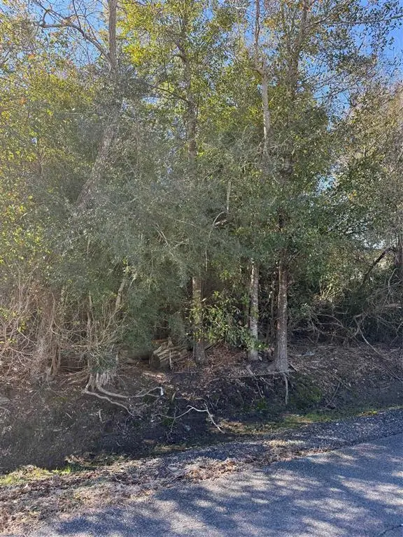 Park Road, Lake Charles, LA 70611 - #2