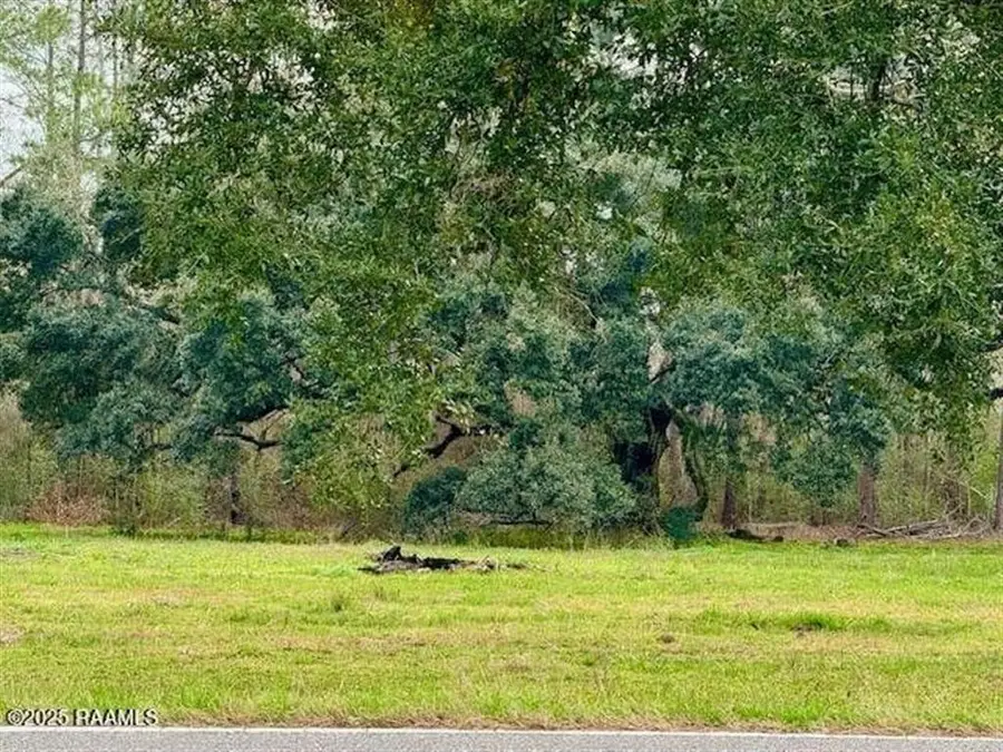 TBD 5th Street #TRACT 1, Iota, LA 70543 - #2