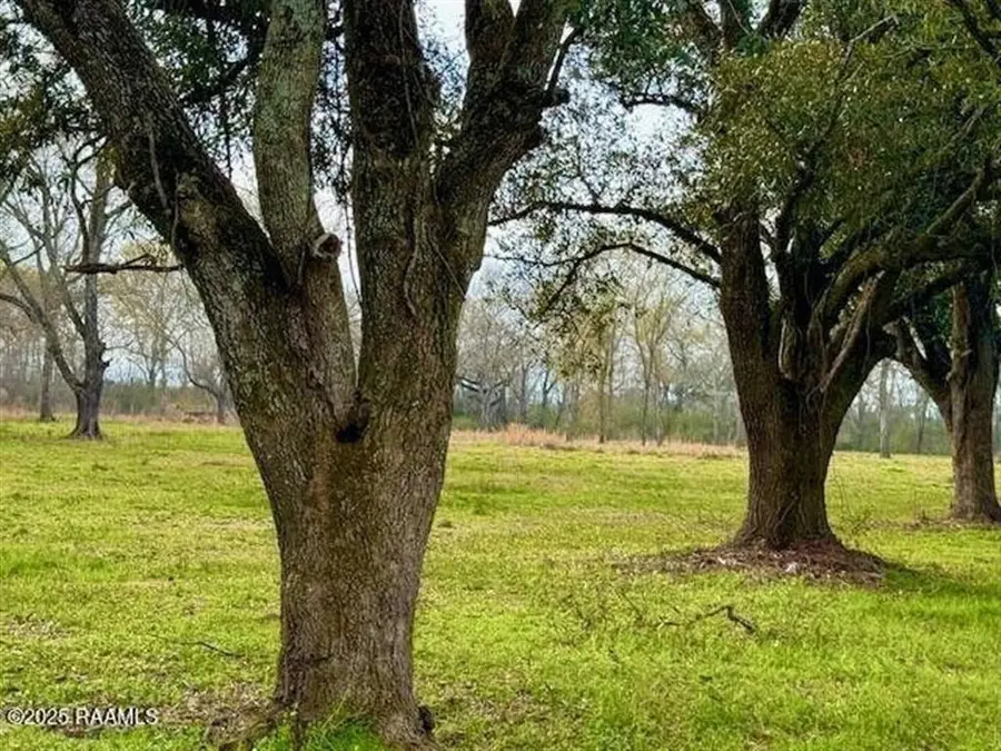 TBD 5th Street #TRACT 4, Iota, LA 70543 - #3