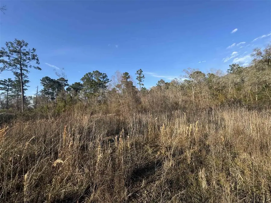 2636 Garrie Cut, Vinton, LA 70668 - #3