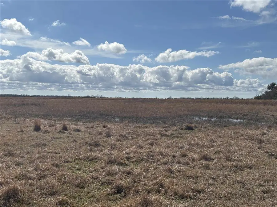 TBD Tbd, Gueydan, LA 70542 - #2