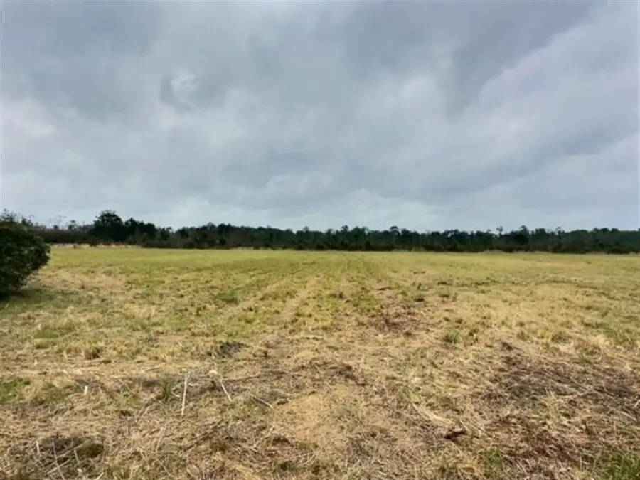 TBD Allen Dale, Ragley, LA  - #2