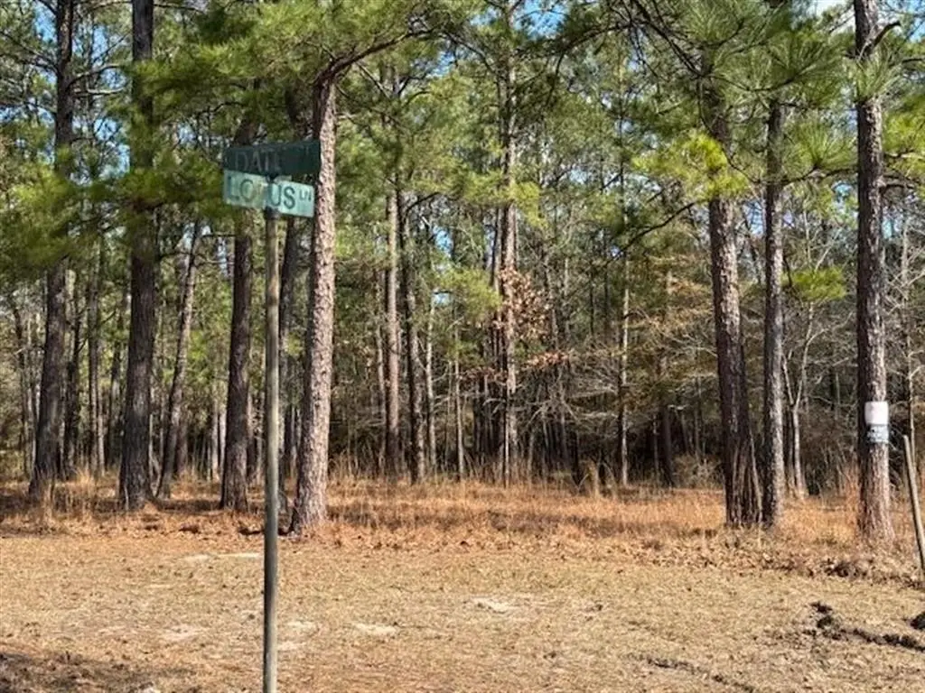 Lotus Lane, Anacoco, LA 71403 - #1