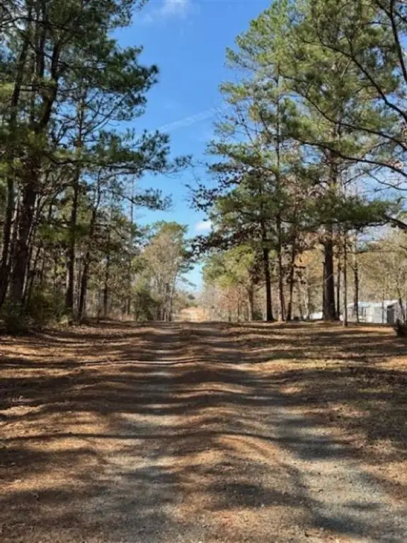 Lotus Lane, Anacoco, LA 71403 - #2