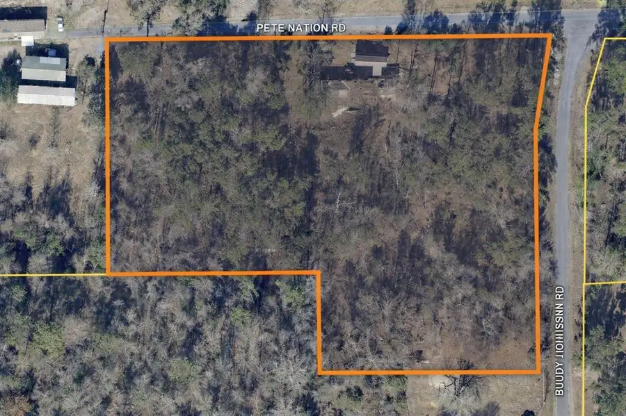 4982 Pete Nation Rd Road, Starks, LA 70661 - #2