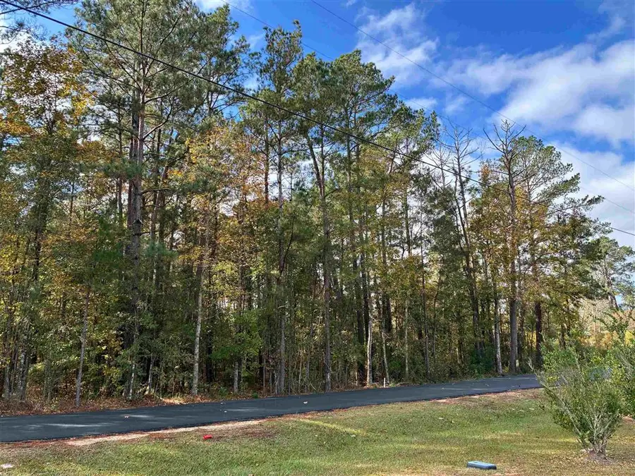 TBD Section Line Road, Leesville, LA 71446 - #3