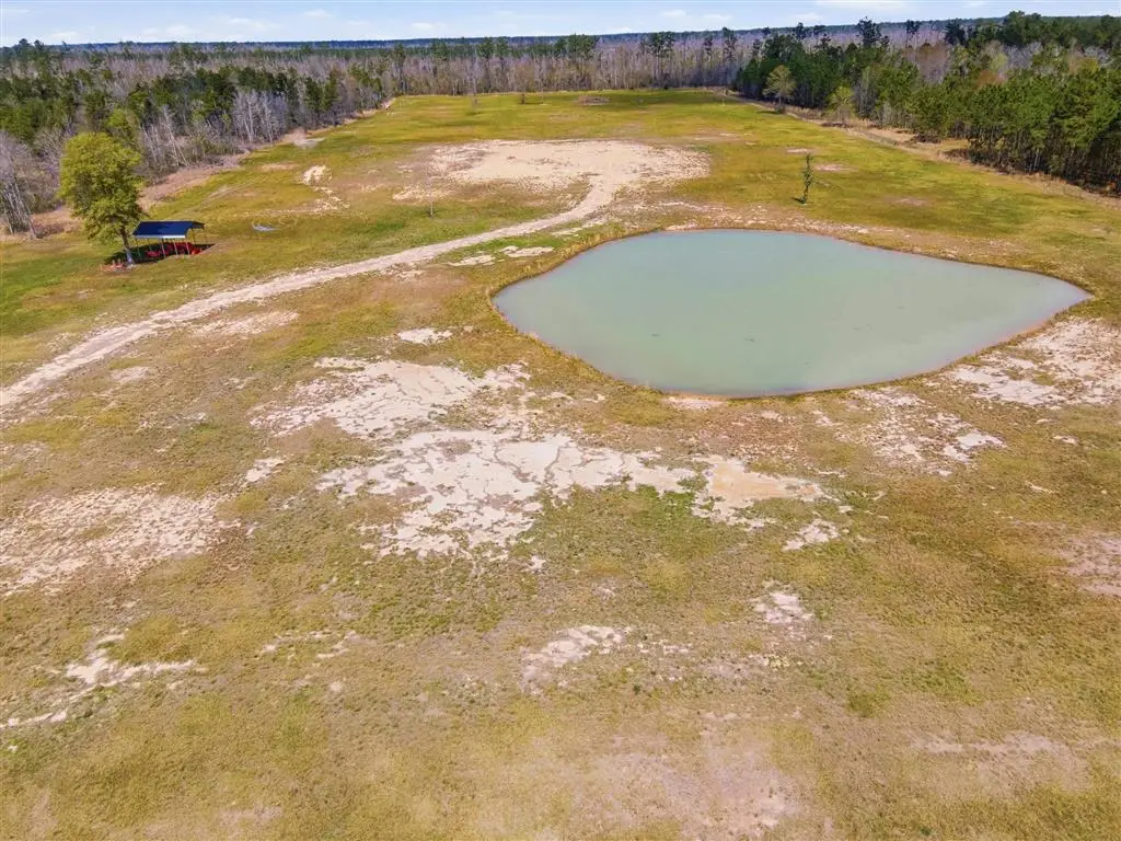 479 Newt Hodges Road, Ragley, LA  - #1