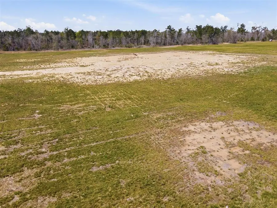 479 Newt Hodges Road, Ragley, LA  - #2