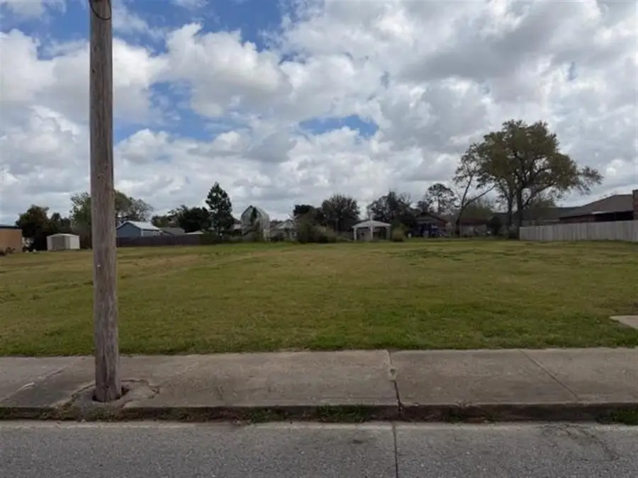 1727 Ryan Street, Lake Charles, LA 70601 - #3