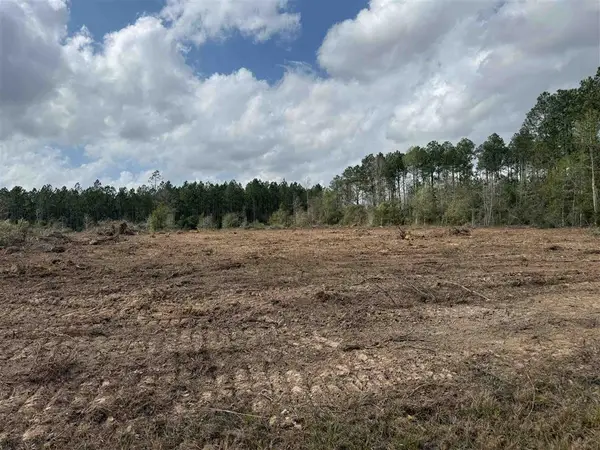 0 Wesley Coleman Road, Longville, LA 