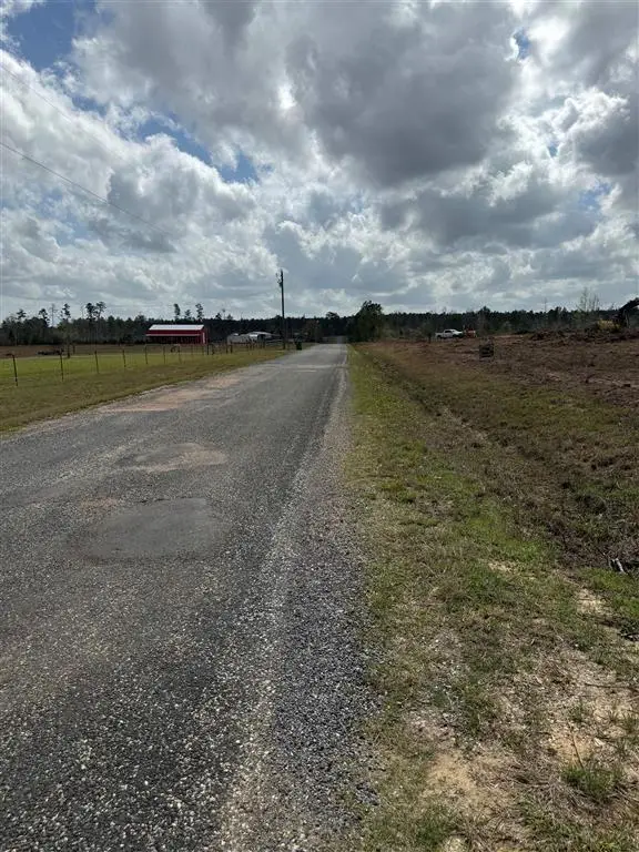 0 Wesley Coleman Road, Longville, LA  - #2