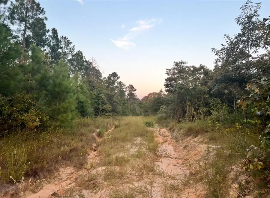 0 Paul Mcmillian Road, Deridder, LA 70634 - #3