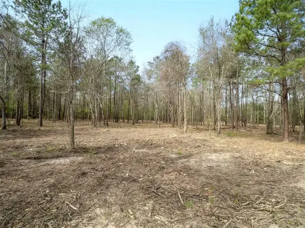 TBD Jarrell Loop, Evans, LA 70639