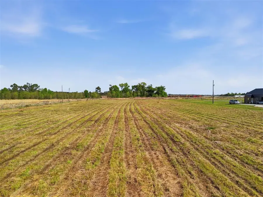 202 Jackson-gimnick Loop, Ragley, LA 70657 - #3