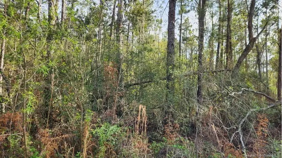 0 Olsen Road, Sulphur, LA 70665 - #3