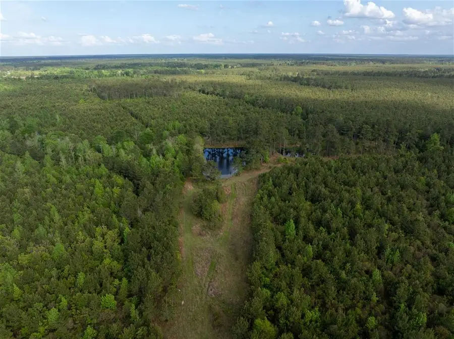 0 Odis Greene Road, Deridder, LA 70634 - #2