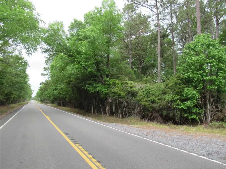 TBD 30ac tract Route 66, Dequincy, LA 70633 - #2