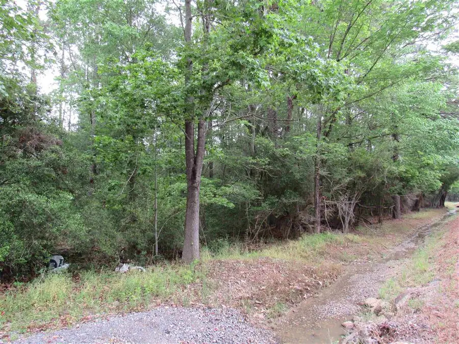 TBD 30ac tract Route 66, Dequincy, LA 70633 - #3