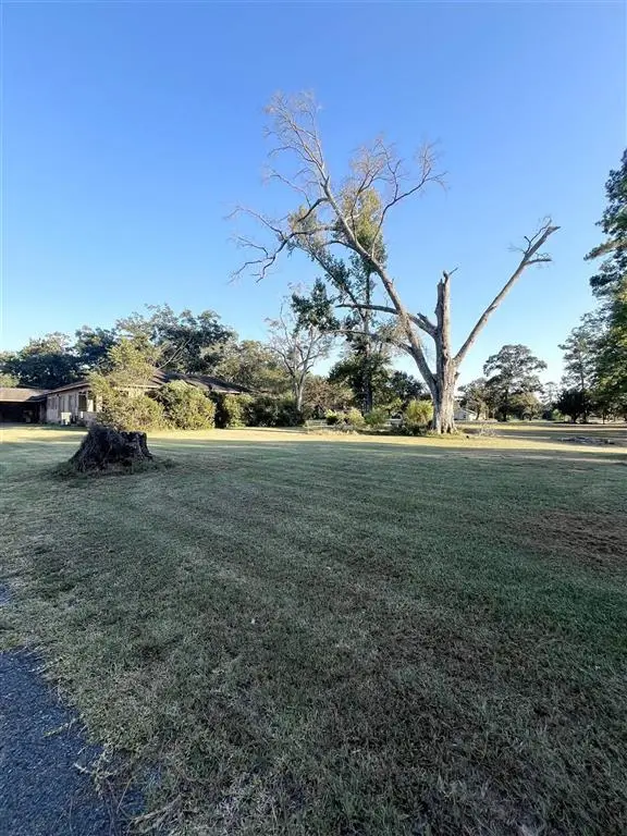 335 Cole Road, Kinder, LA 70648 - #2