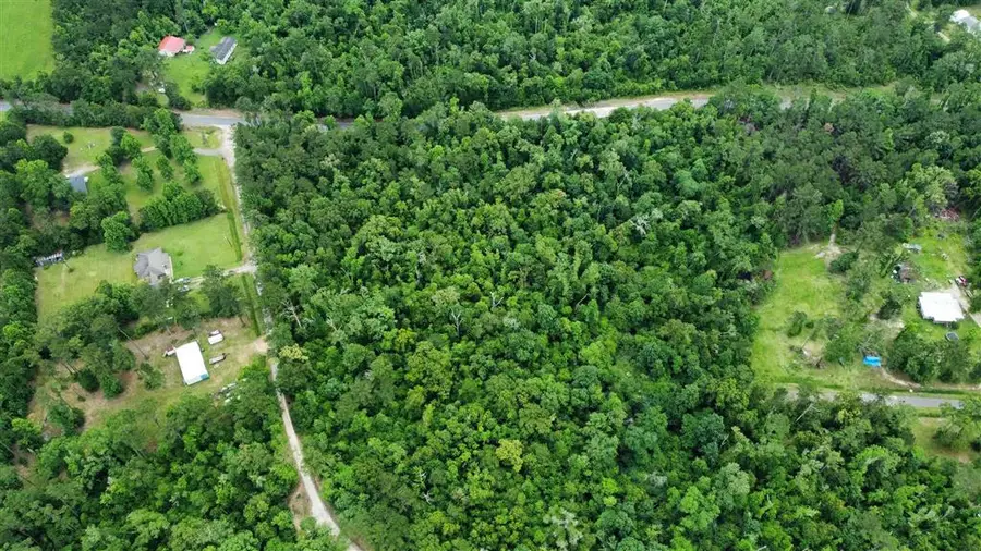 Ginger Lane, Ragley, LA  - #2