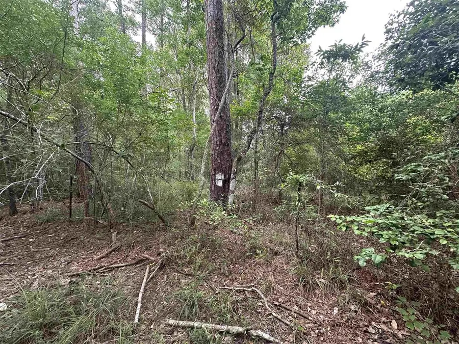 Tbd Us 165, Oberlin, LA 70655 - #2