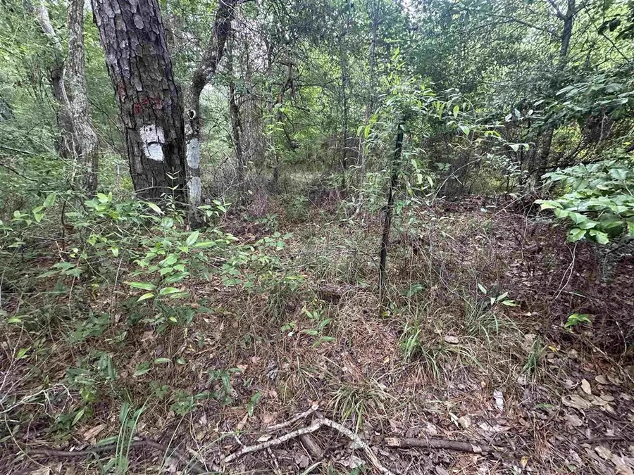 Tbd Us 165, Oberlin, LA 70655 - #3