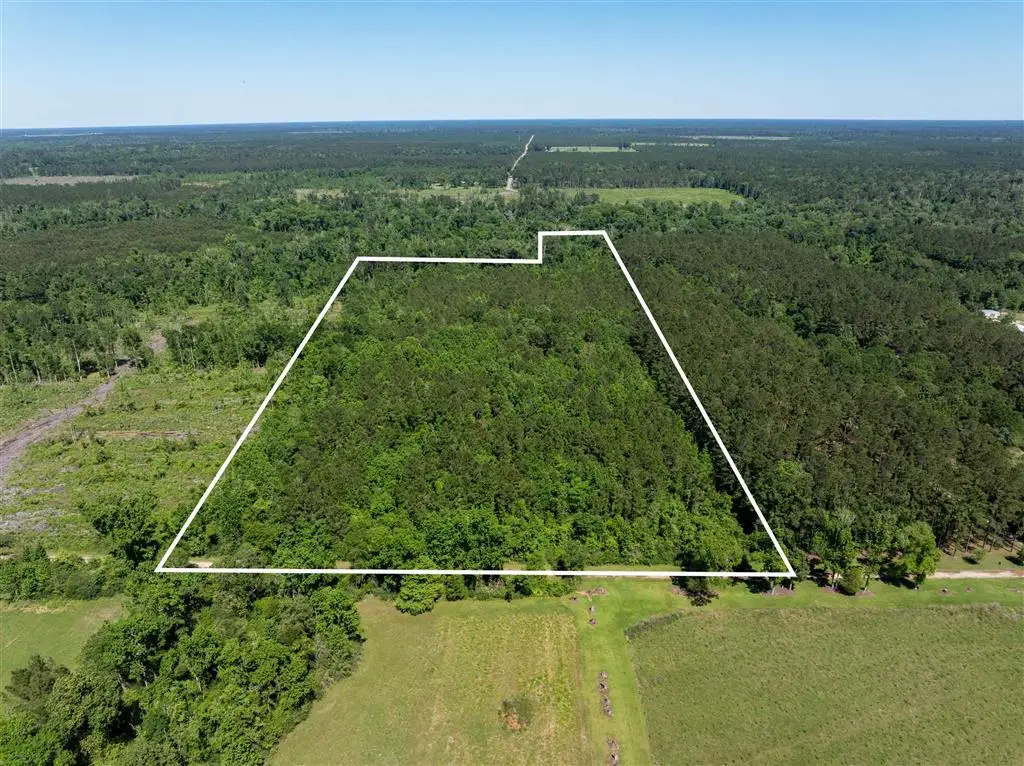 000 Morrow Bridge Road, Dry Creek, LA 70637 - #1