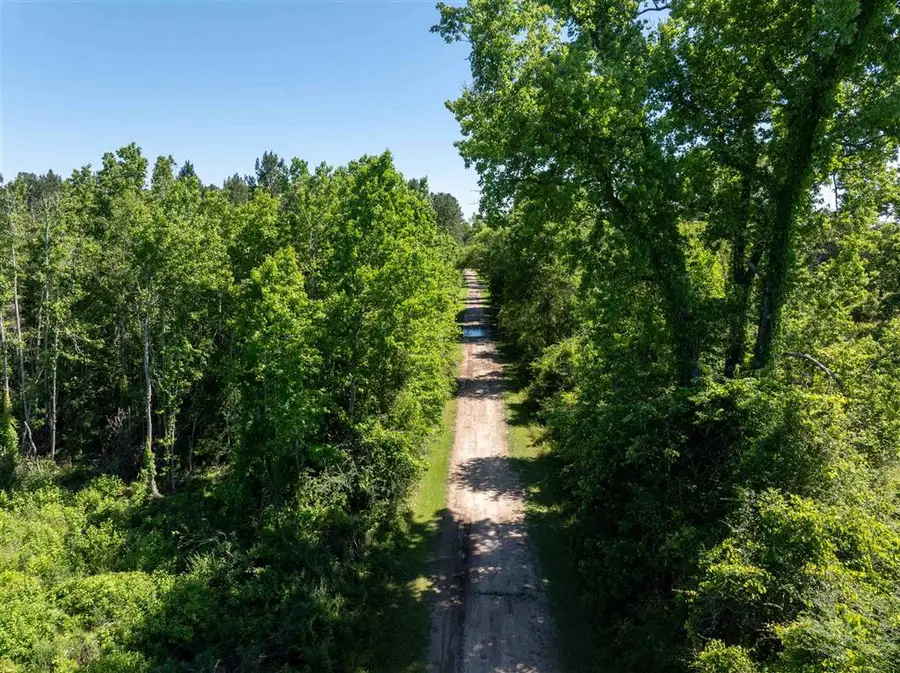 000 Morrow Bridge Road, Dry Creek, LA 70637 - #2