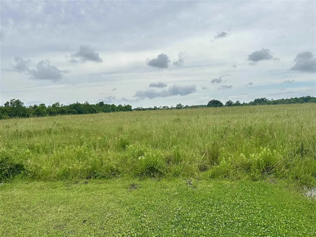 0 Carlile Lane, Lake Charles, LA 70607 - #1