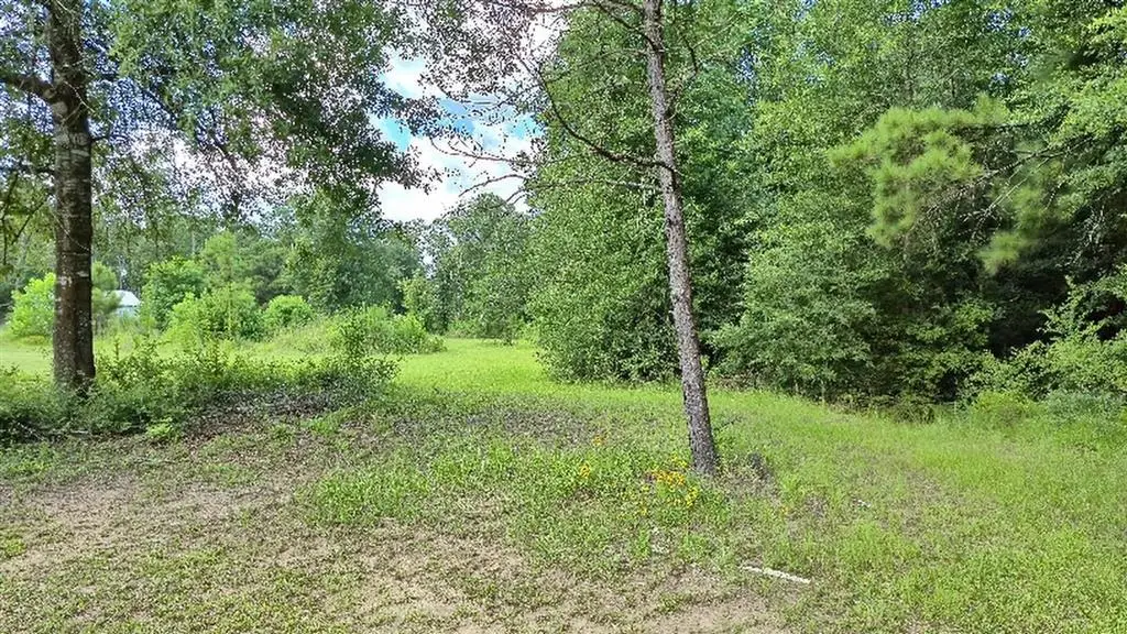340 Adrian Guidry Road, Longville, LA 70652 - #1