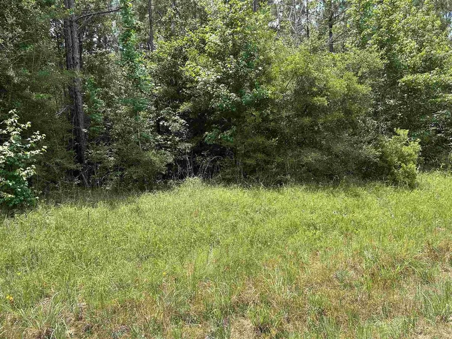 Hwy 389 Highway, Merryville, LA 70653 - #2