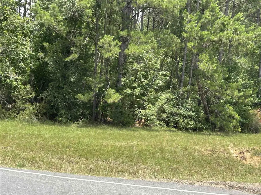 Hwy 389 Highway, Merryville, LA 70653 - #3