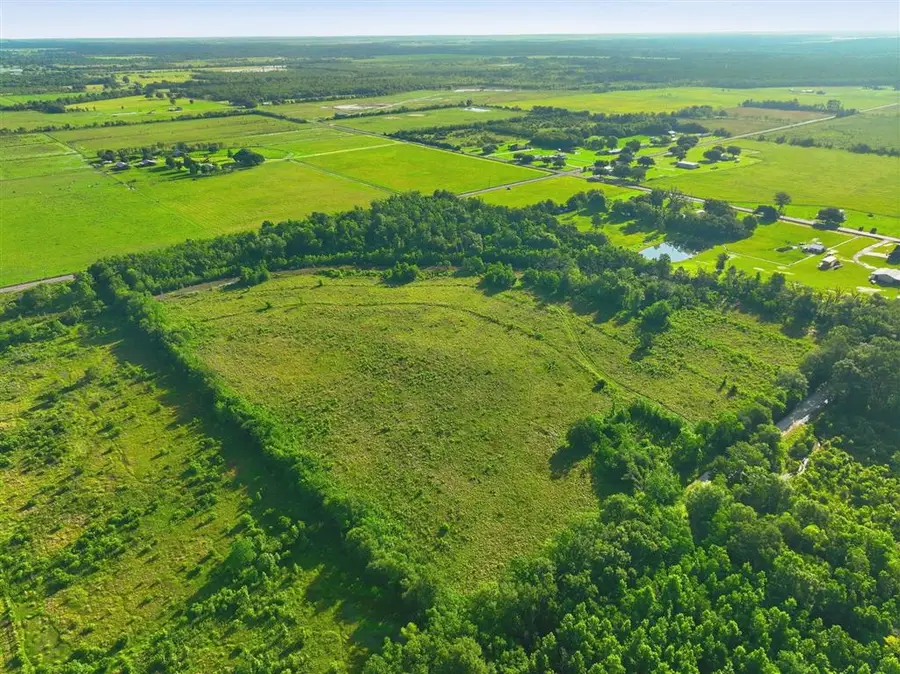 TBD Sidney Derouen Rd, Hayes, LA 70646 - #2