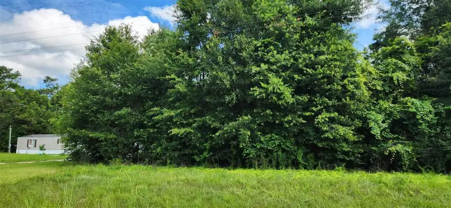 E Highway 190 E, Ragley, LA 70657 - #3