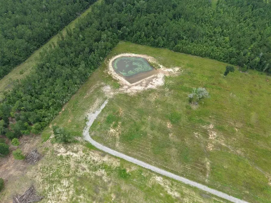 0 Highway 171 #Tract A, Longville, LA  - #3
