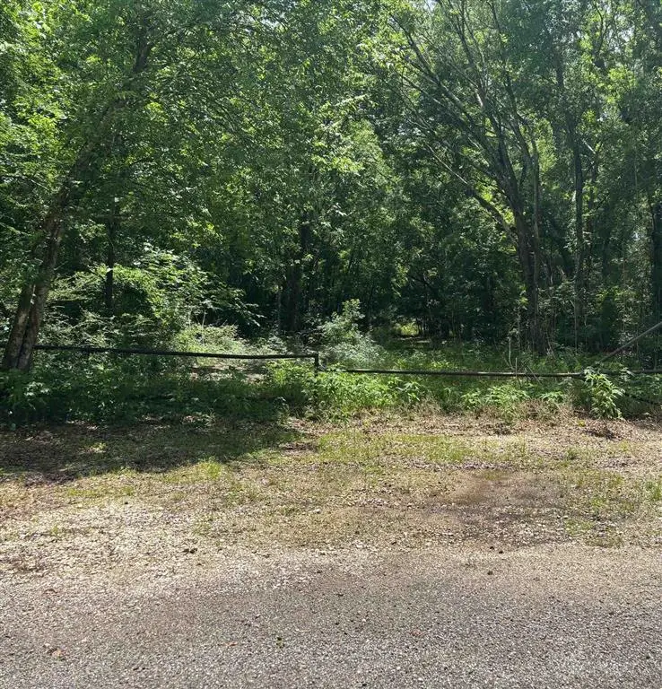 Bamboo Road, Egan, LA 70531 - #1