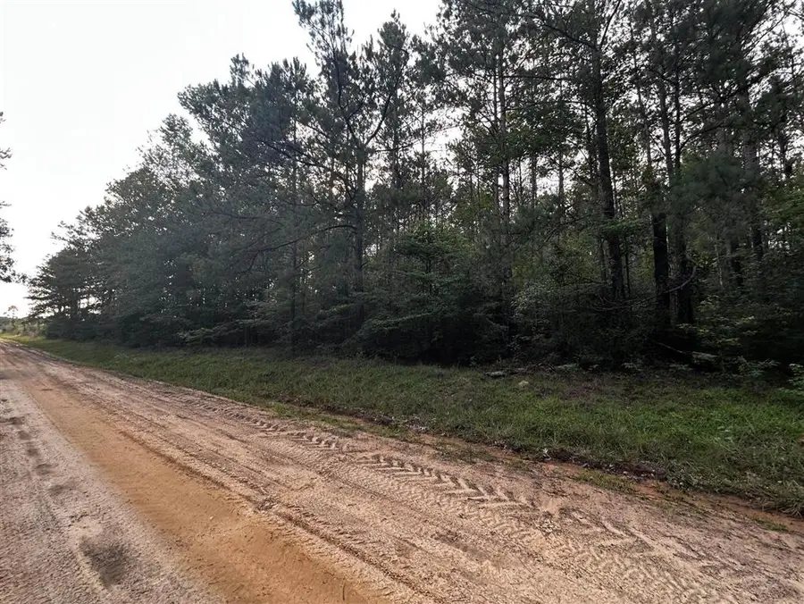 TBD Ebenezer Cemetery Road, Leesville, LA  - #2