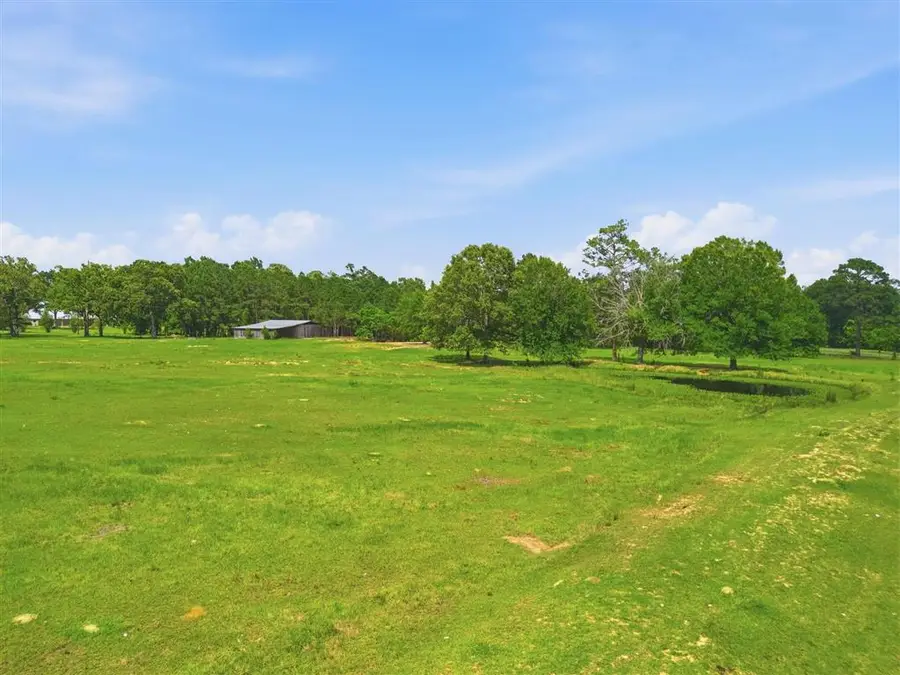 1262 Panhandle Road, Dequincy, LA 70663 - #2