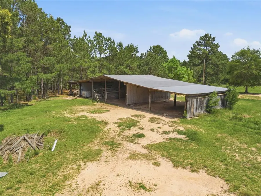 1262 Panhandle Road, Dequincy, LA 70663 - #3