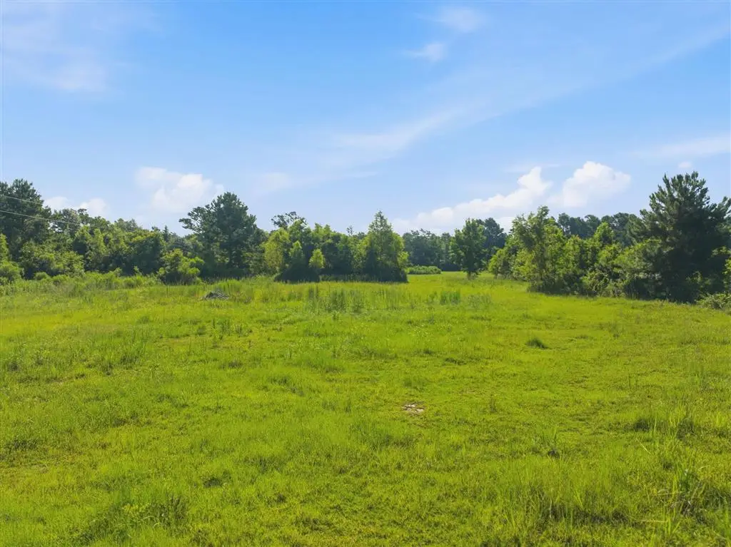 1414 Jackson-gimnick Loop, Ragley, LA 70657 - #1