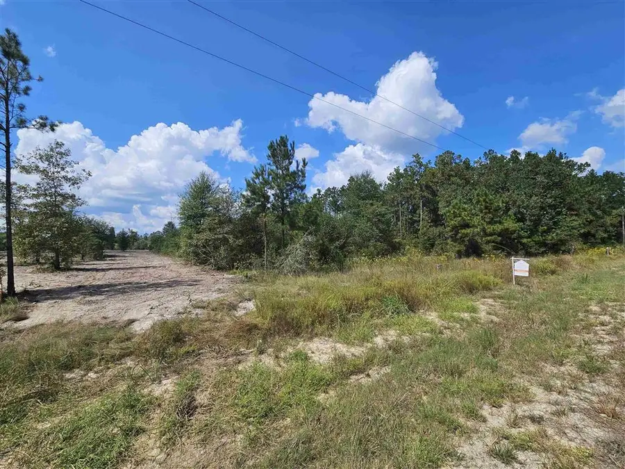 618 Route 66, Dequincy, LA 70633 - #2